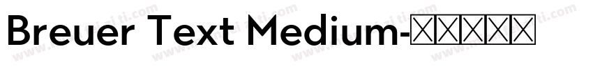 Breuer Text Medium字体转换
